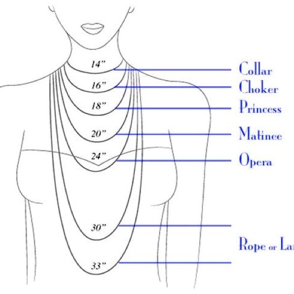 Native American Shell Disc and Turquoise Necklace - Picture 16 of 16